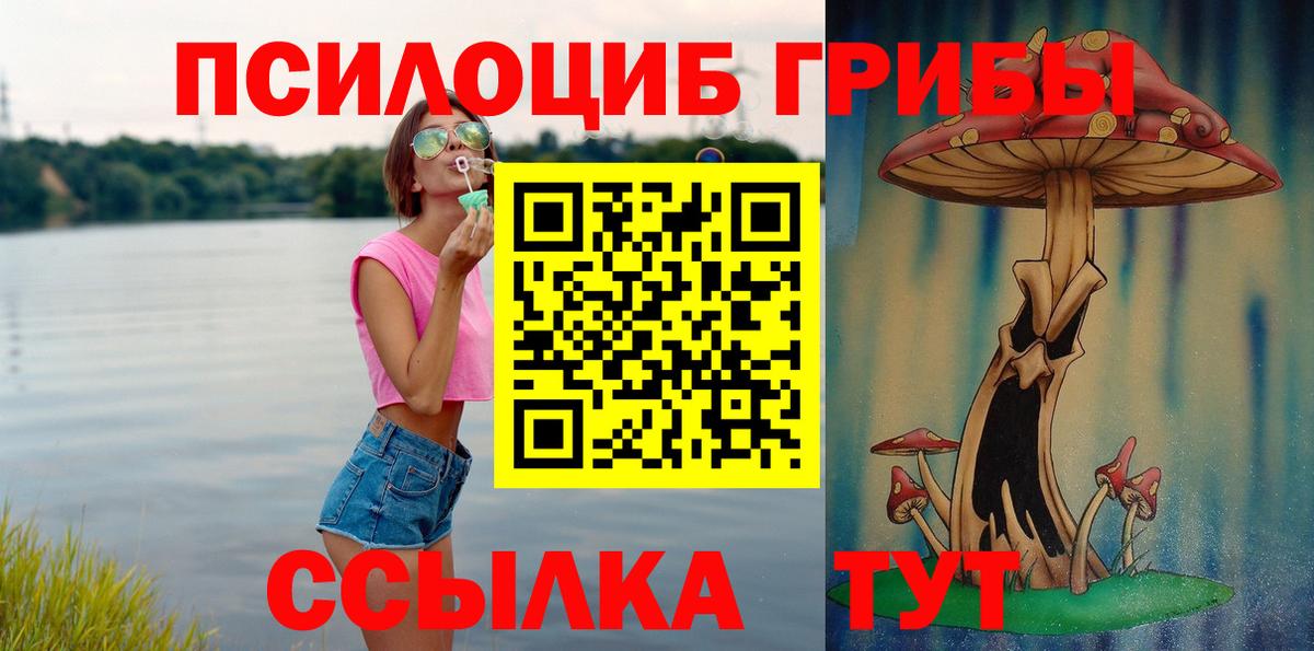 Псилоцибиновые грибы мицелий Норильск